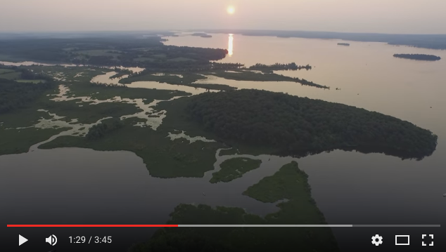 Rice Lake Aerial